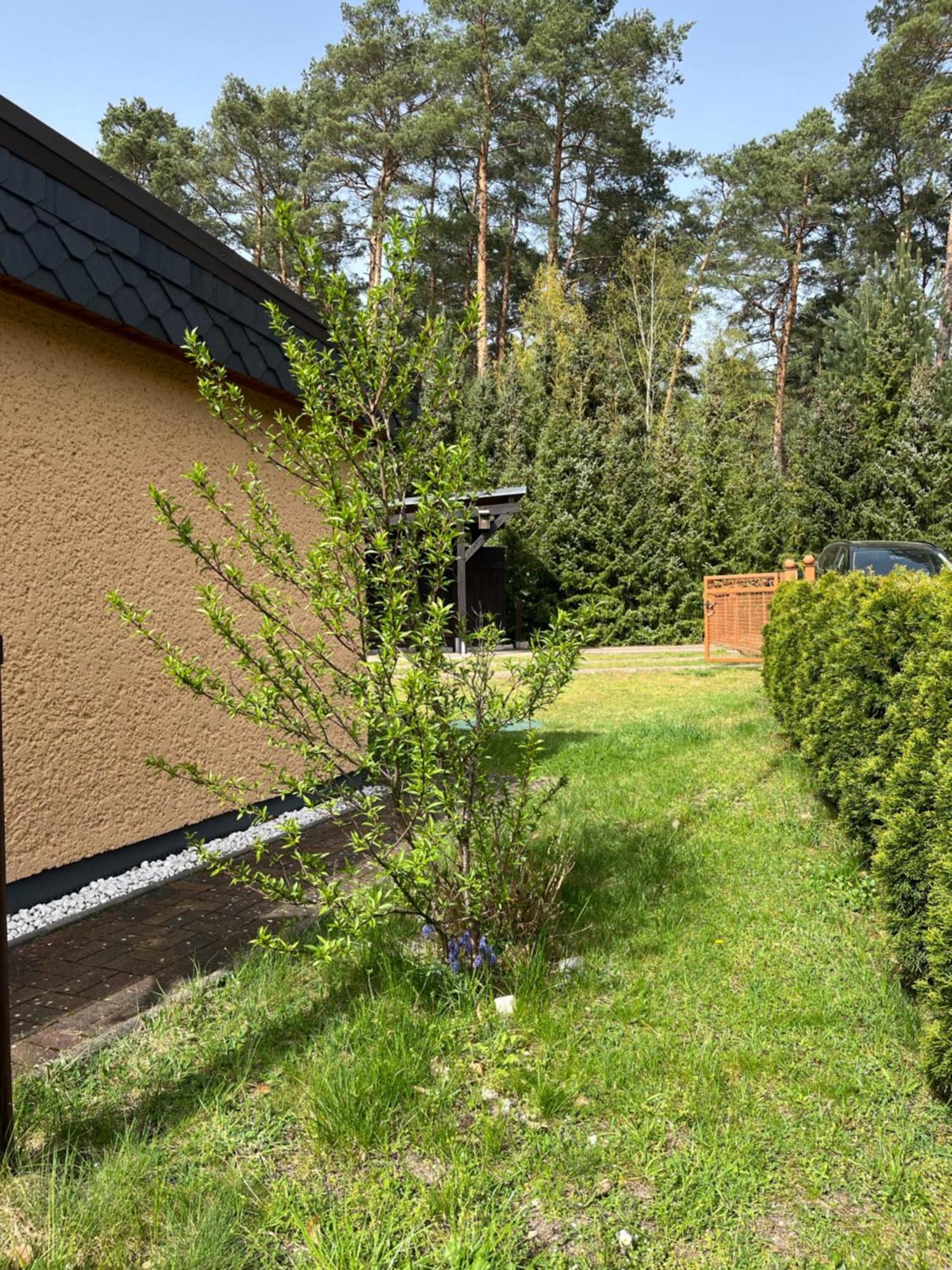 Ferienhaus Fjola Schenkendobern Esterno foto