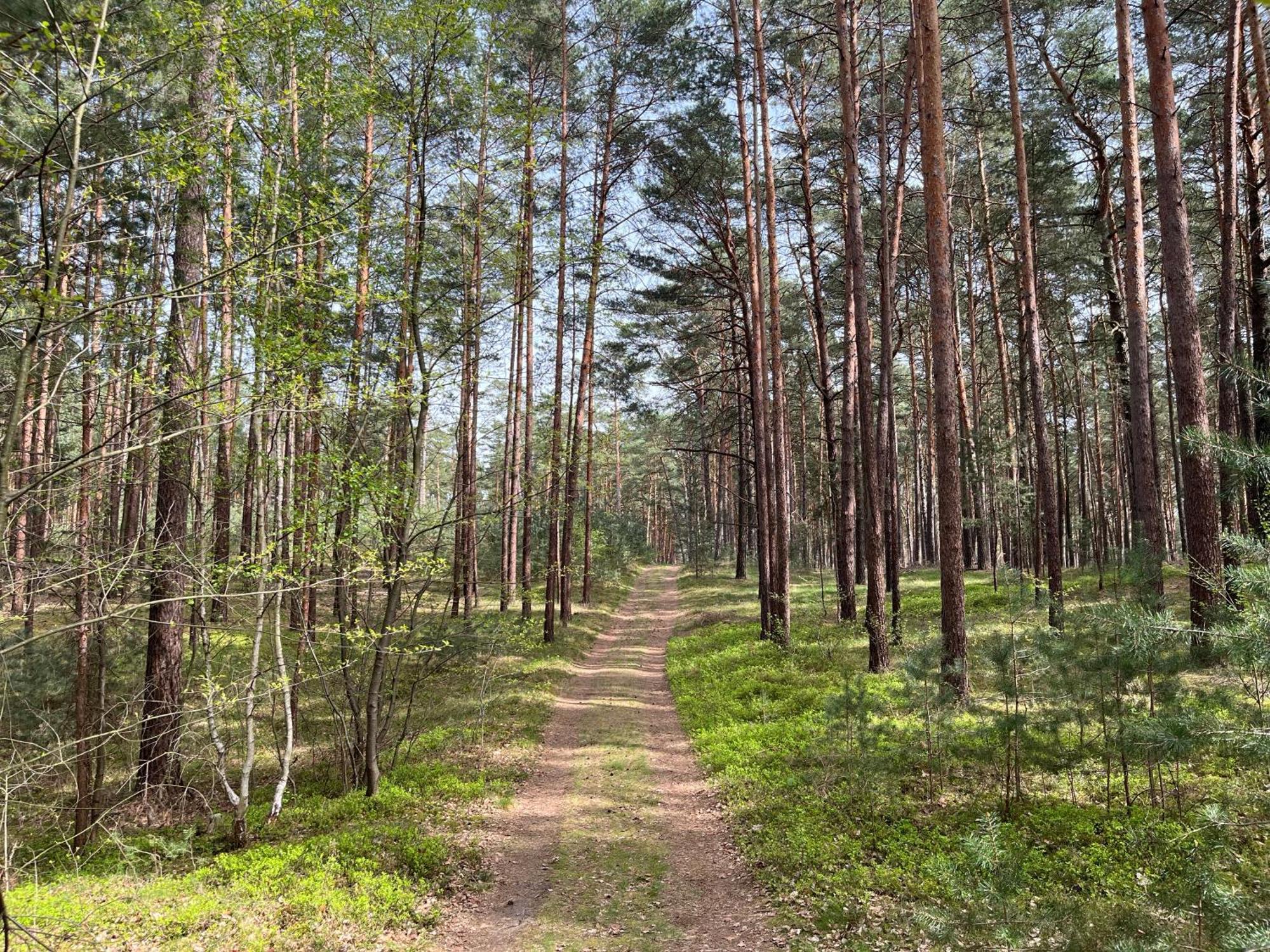 Ferienhaus Fjola Schenkendobern Esterno foto